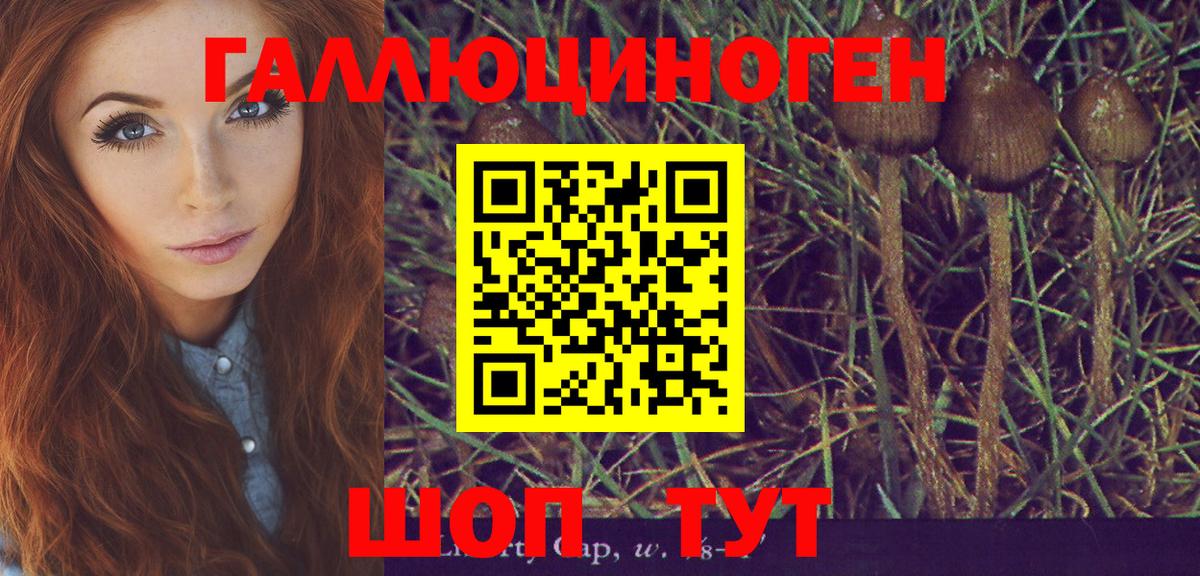 Псилоцибиновые грибы MAGIC MUSHROOMS  Вход с VPN  Россошь 